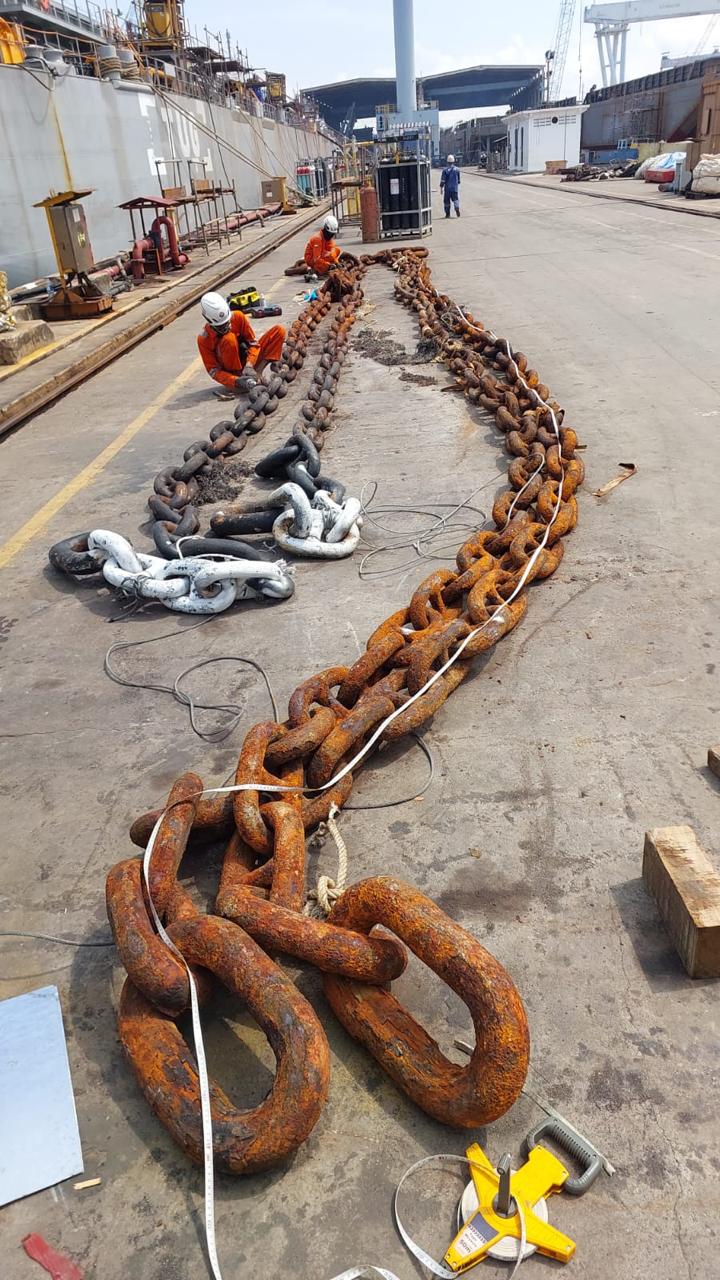 Bulk Cargo Transport